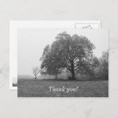 Carte Postale Foggy Automne Niveaux de gris (Devant / Derrière)