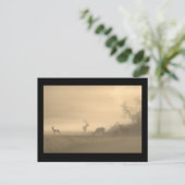 Carte Postale Foggy Elk Family (Debout devant)