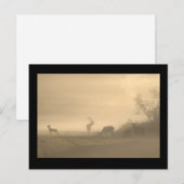 Carte Postale Foggy Elk Family (Devant / Derrière)