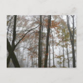 Carte Postale Foggy Fall en Pennsylvanie Automne Nature (Devant)