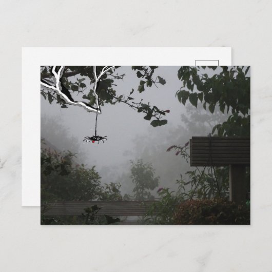Carte Postale Foggy Jardin d'automne avec Spider do-it-yourself (Devant / Derrière)