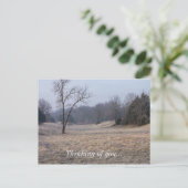 Carte Postale Foggy Meadow (Debout devant)