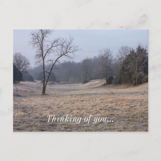 Carte Postale Foggy Meadow (Devant)