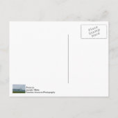 Carte Postale Foggy Mighty Mac (Dos)