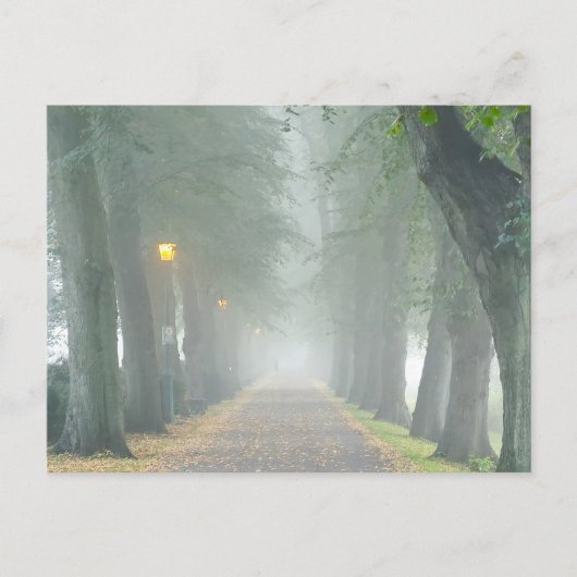 Carte Postale Foggy Morning (Devant)
