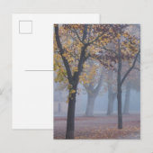 Carte Postale Foggy Morning dans le parc de la Cathédrale (Devant / Derrière)