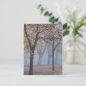 Carte Postale Foggy Morning dans le parc de la Cathédrale (Debout devant)