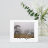 Carte postale Foggy Point Reyes (Debout devant)