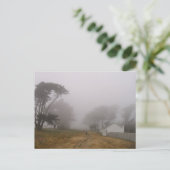 Carte postale Foggy Point Reyes (Debout devant)