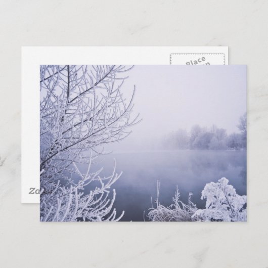 Carte Postale Foggy Winter Day by the River (Devant / Derrière)