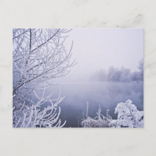 Carte Postale Foggy Winter Day by the River