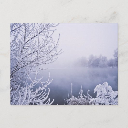 Carte Postale Foggy Winter Day by the River (Devant)
