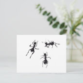 CARTE POSTALE FOI (Debout devant)