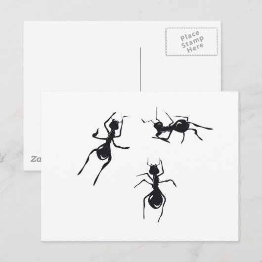 CARTE POSTALE FOI (Devant / Derrière)