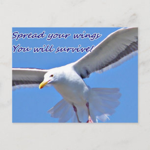 Carte Postale Foi et force_