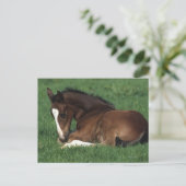 Carte Postale Foie Chaud Qui S'Étalait (Debout devant)