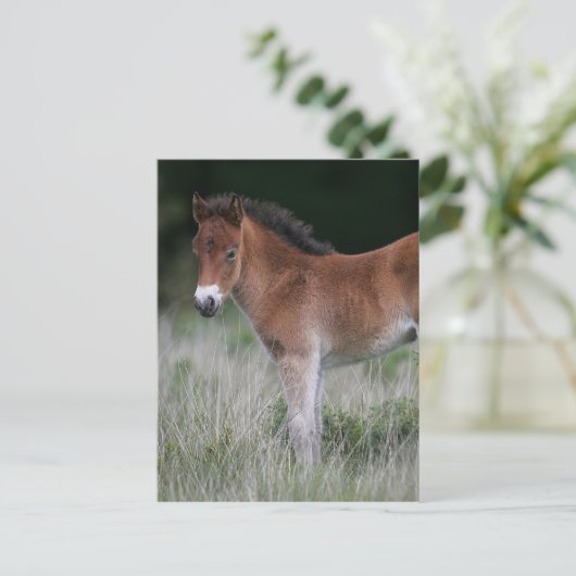 Carte Postale Foie debout (Debout devant)