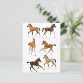 Carte Postale Foies (Debout devant)