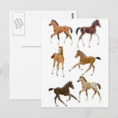 Carte Postale Foies (Devant / Derrière)