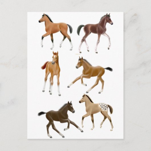 Carte Postale Foies (Devant)