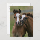 Carte Postale Foies jouant (Devant / Derrière)