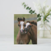 Carte Postale Foies jouant (Debout devant)