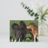 Carte Postale Foies miniatures 1 (Debout devant)