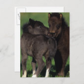 Carte Postale Foies miniatures 1 (Devant / Derrière)