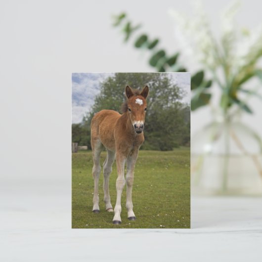 Carte postale Foin (Debout devant)