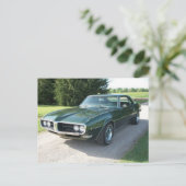 Carte Postale Foiseau vert (Debout devant)