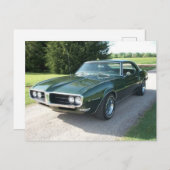 Carte Postale Foiseau vert (Devant / Derrière)