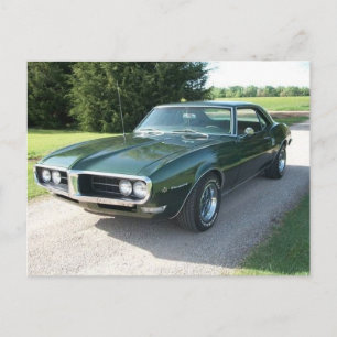 Carte Postale Foiseau vert