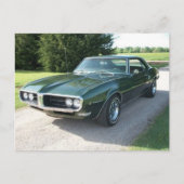 Carte Postale Foiseau vert (Devant)