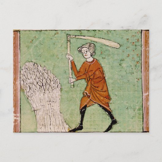 Carte Postale Fol.59r Août : Threshing Wheat (Devant)