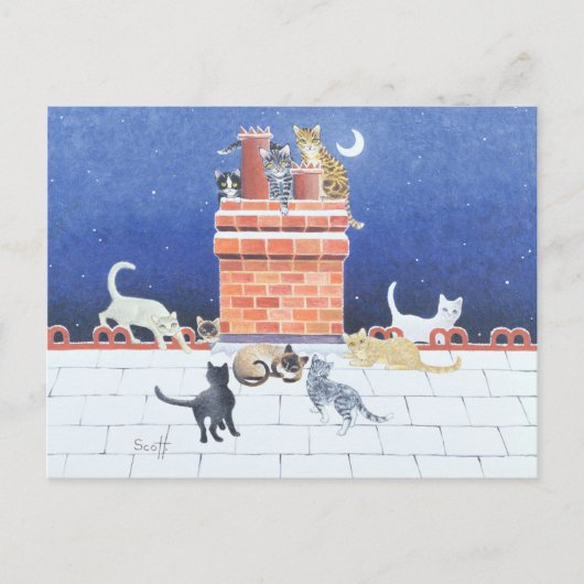 Carte Postale Folie de minuit (Devant)