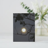 Carte Postale Folie Pleine lune (Debout devant)