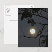 Carte Postale Folie Pleine lune (Devant / Derrière)