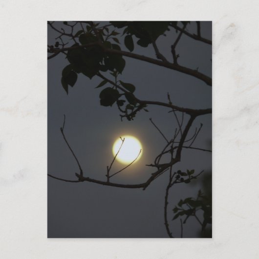 Carte Postale Folie Pleine lune (Devant)