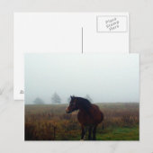 Carte postale Follow Me (Devant / Derrière)