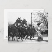 Carte Postale Follow Me Boys, 1908 (Devant / Derrière)