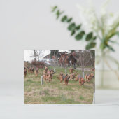 Carte Postale fonctionnement des cellules sanguines (Debout devant)