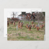 Carte Postale fonctionnement des cellules sanguines (Devant / Derrière)