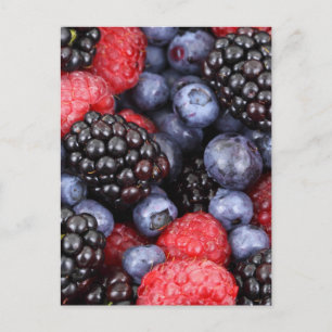 Carte Postale Fond de fruits forestiers