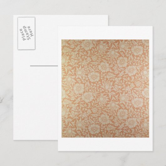 Carte Postale Fond d'écran 'Mallow' (Devant / Derrière)