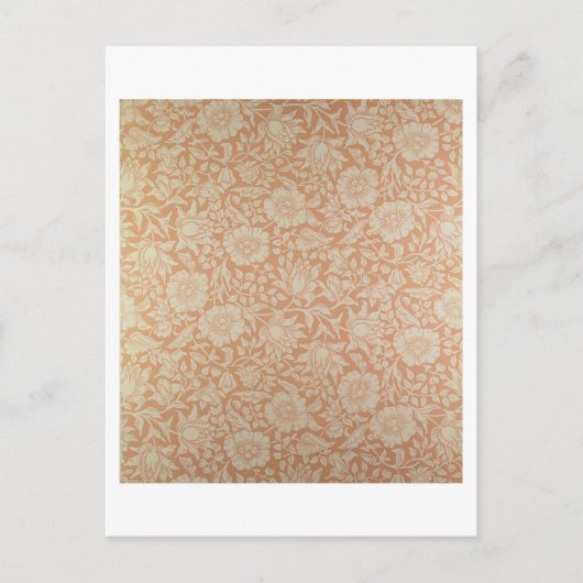 Carte Postale Fond d'écran 'Mallow' (Devant)