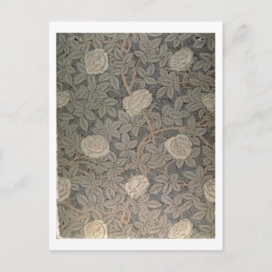 Carte Postale Fond d'écran 'Rose-90' (Devant)