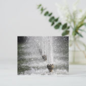 Carte Postale Fontaine (Debout devant)