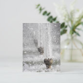 Carte Postale Fontaine (Debout devant)