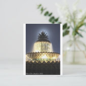 Carte Postale Fontaine d'ananas Charleston SC (Debout devant)