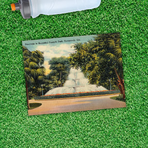 Carte Postale Fontaine dans Forsyth Park Savannah GA Historique